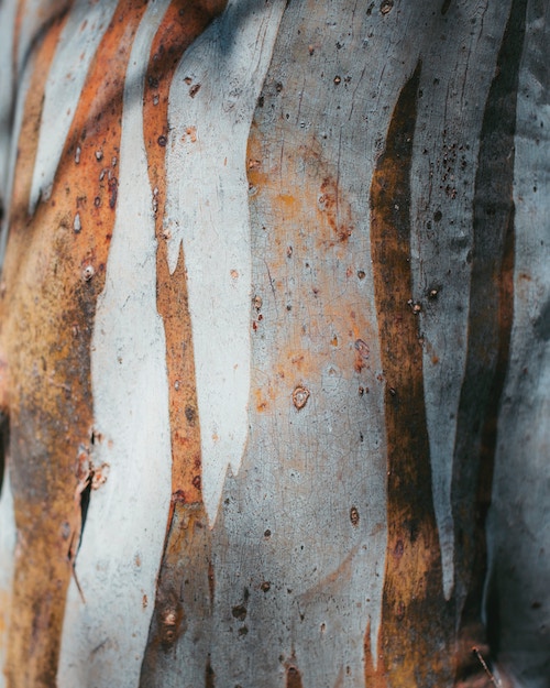 Photo by Jade Stephens on Unsplash
